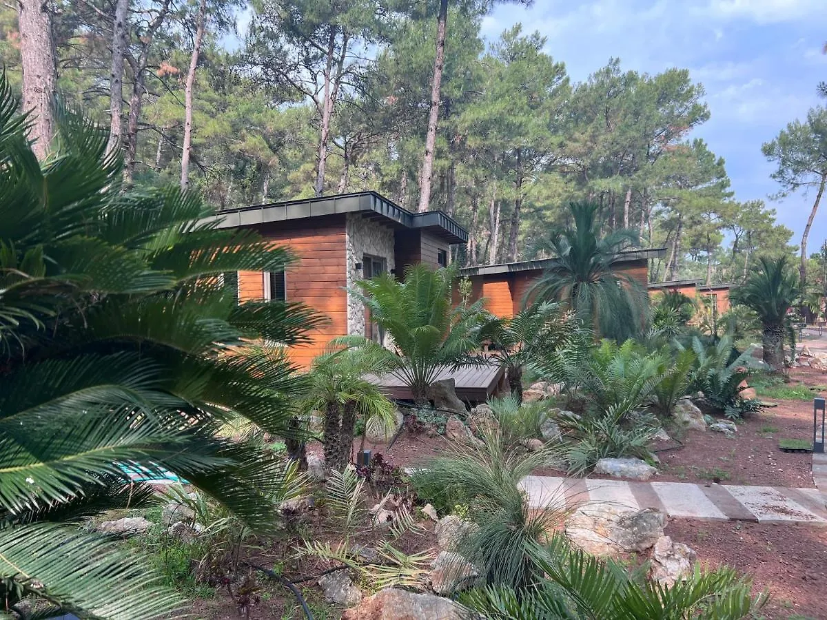 Ada Capra Hotel Marmaris